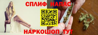 мдпв Будённовск