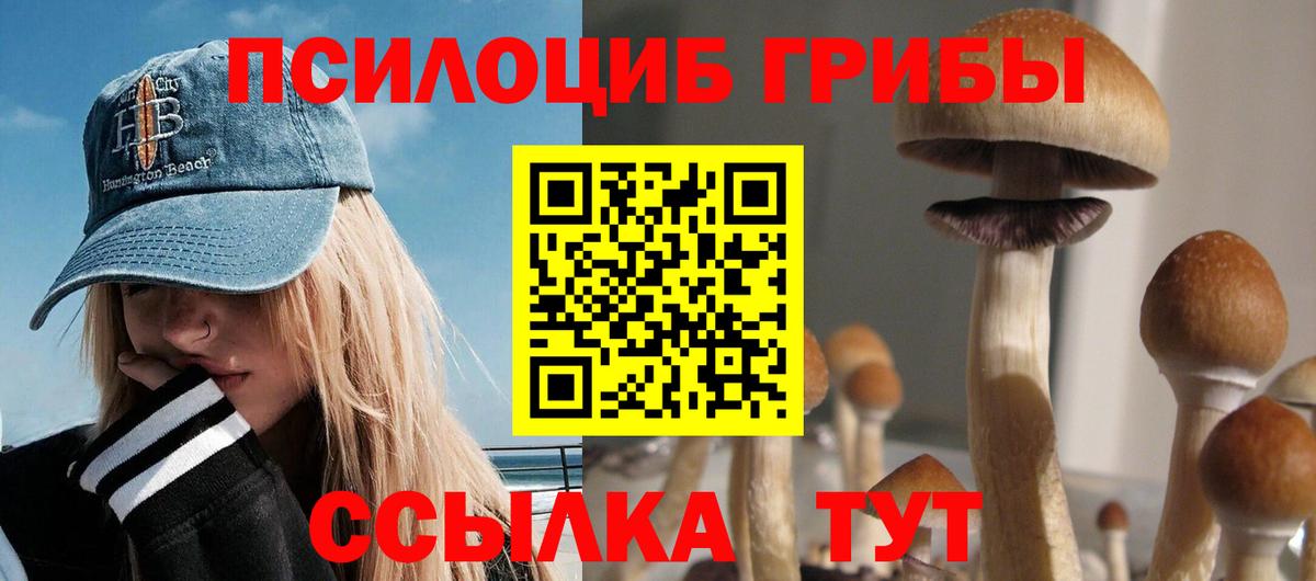 Черногорск  Псилоцибиновые грибы GOLDEN TEACHER  Псилоцибиновые грибы Magic Shrooms  Вход с VPN 
